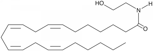 Docosatetraenoyl Ethanolamide