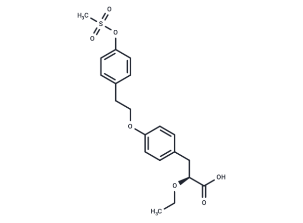 Tesaglitazar