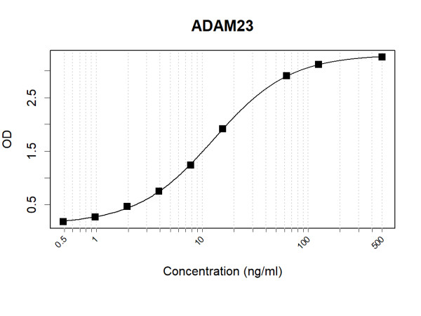 Anti-Human ADAM23 Antibody Pair