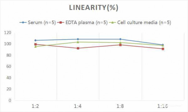 Mouse S100A10 (S100 Calcium-binding Protein A10) CLIA Kit