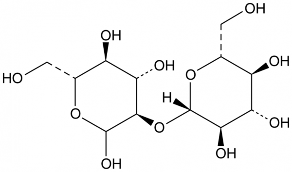 Sophorose