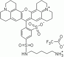 TR cadaverine (Sulforhodamine 101 cadaverine sulfonamide)