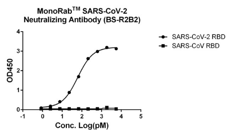 MonoRab(TM) SARS-CoV-2 Neutralizing Antibody (BS-R2B2), mAb, Rabbit