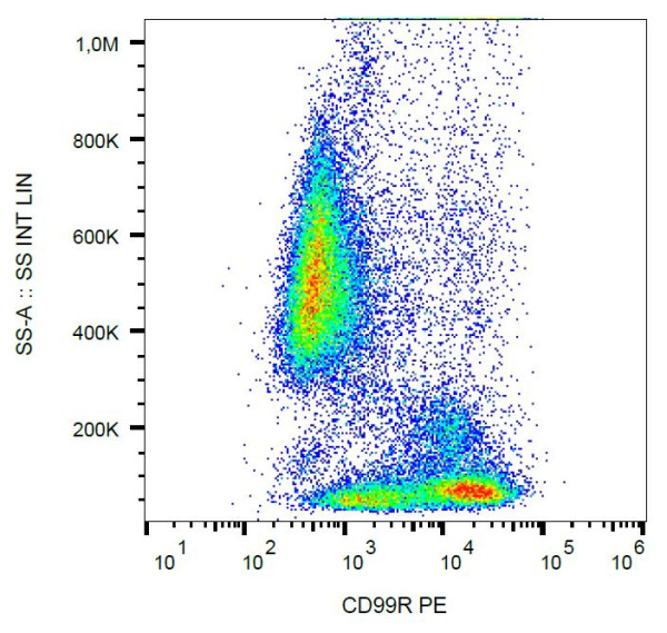 Anti-CD99R, clone MEM-131 (PE)