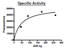 A20, His-FLAG-tag, Human Recombinant Protein