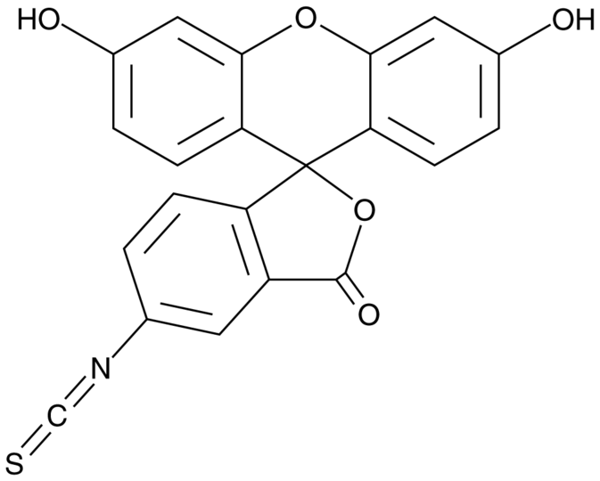 Fluorescein 5isothiocyanate CAS 3326327 Cayman Chemical