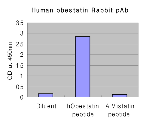 Anti-Obestatin (human)