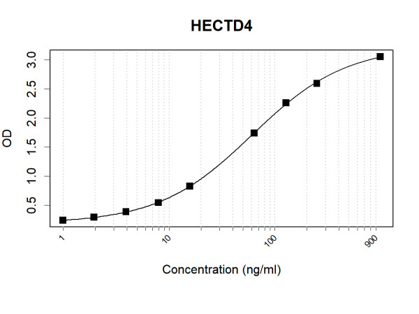 Anti-Human HECTD4 Antibody Pair