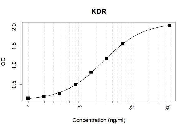 Anti-Human VEGF Receptor 2 Antibody Pair