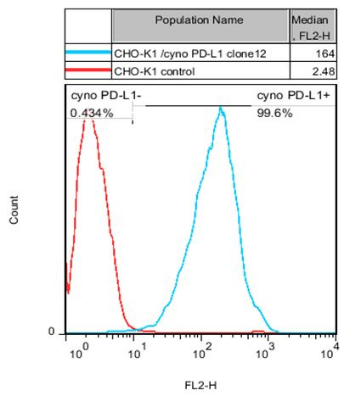 CHO-K1/cyno PD-L1 Stable Cell Line