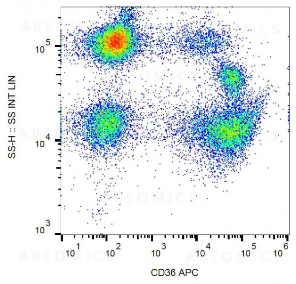 Anti-CD36 / GPIIIb Monoclonal Antibody (Clone:TR9)-APC Conjugated