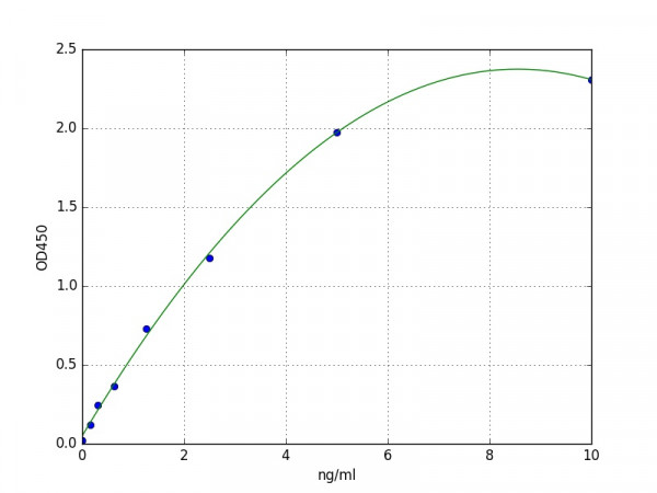 Mouse ELN / Elastin ELISA Kit