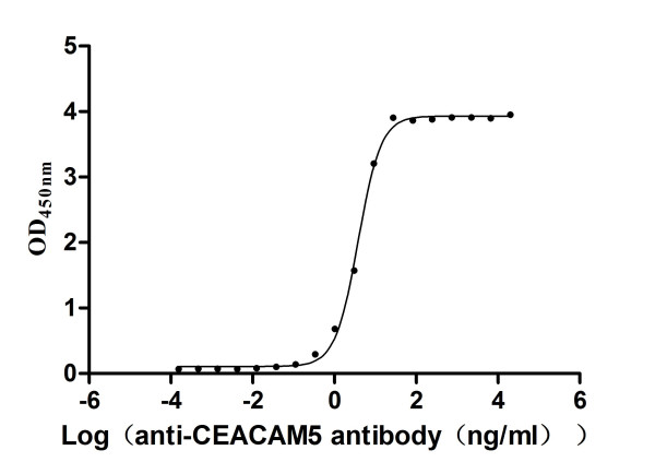Anti-CEACAM5, recombinant clone 11E5