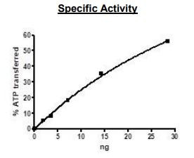 Jak3, active human recombinant protein