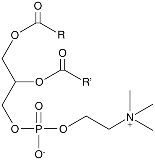 Phosphatidylcholine (chicken egg)