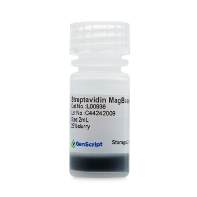 Streptavidin MagBeads