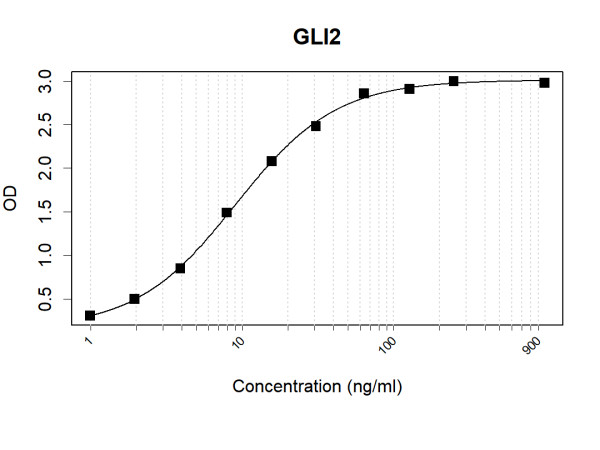 Anti-Human GLI2 Antibody Pair