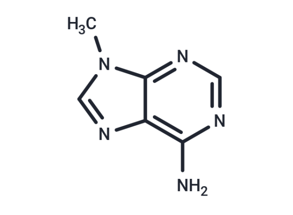 9-Methyladenine