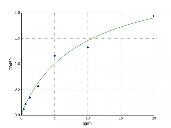 Human Neurokinin 1 Receptor / NK1R ELISA Kit