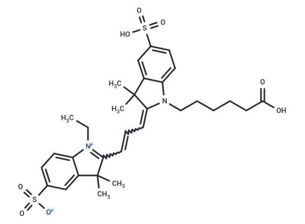 CY3