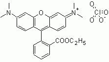 TMRE (Tetramethylrhodamine ethyl ester)