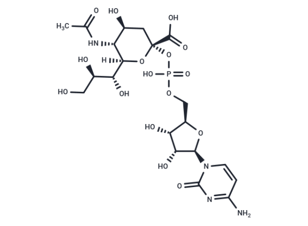 CMP-Sialic acid