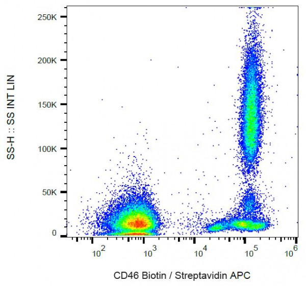 Anti-CD46, clone MEM-258 (Biotin)