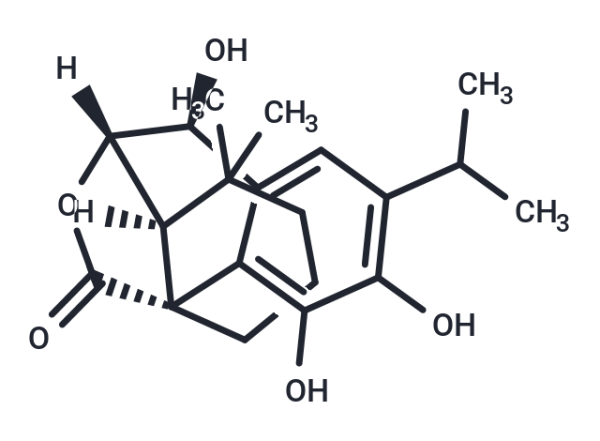 Rosmanol