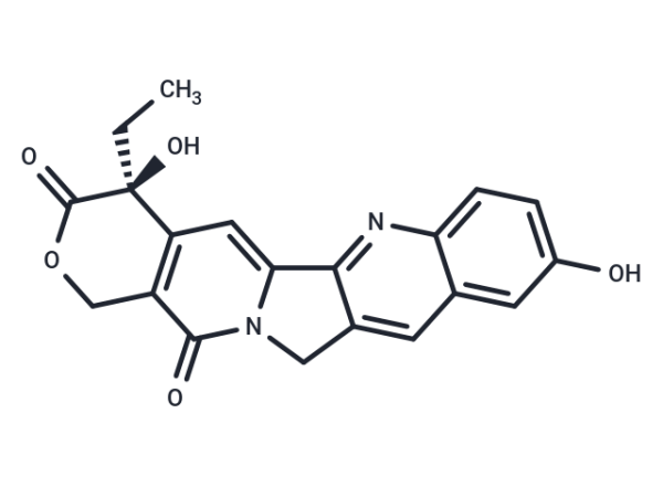 (S)-10-Hydroxycamptothecin
