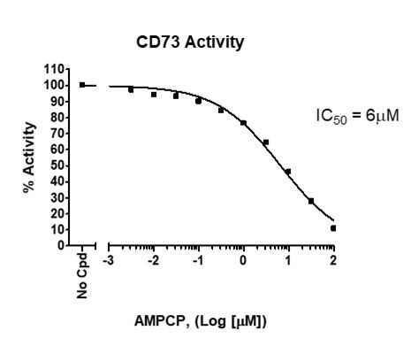 CD73 Inhibitor Screening Assay Kit