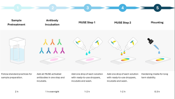 immunoMUSE(R) Amplify Medium-1X-C00-F103