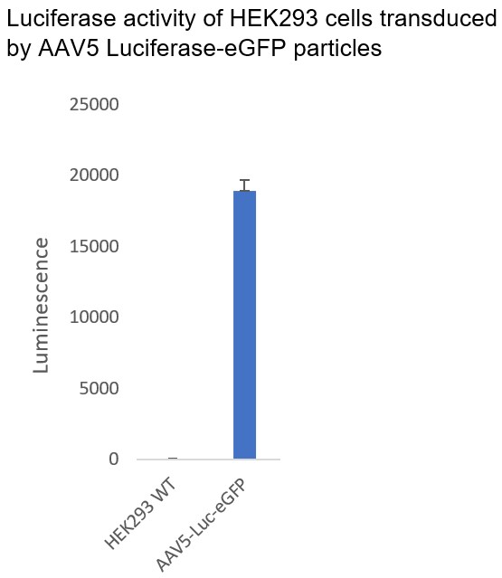 AAV5 LuciferaseeGFP BPS Bioscience