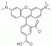 5-TAMRA (5-Carboxytetramethylrhodamine) *Validated for labeling peptides*