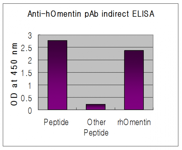 Anti-Omentin (human)