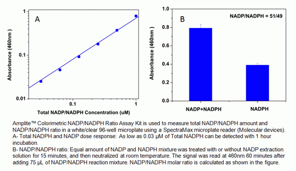 Amplite(TM) Colorimetric NADP/NADPH Ratio Assay Kit