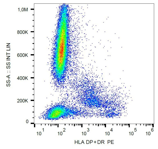 Anti-HLA-DR+DP, clone MEM-136 (PE)
