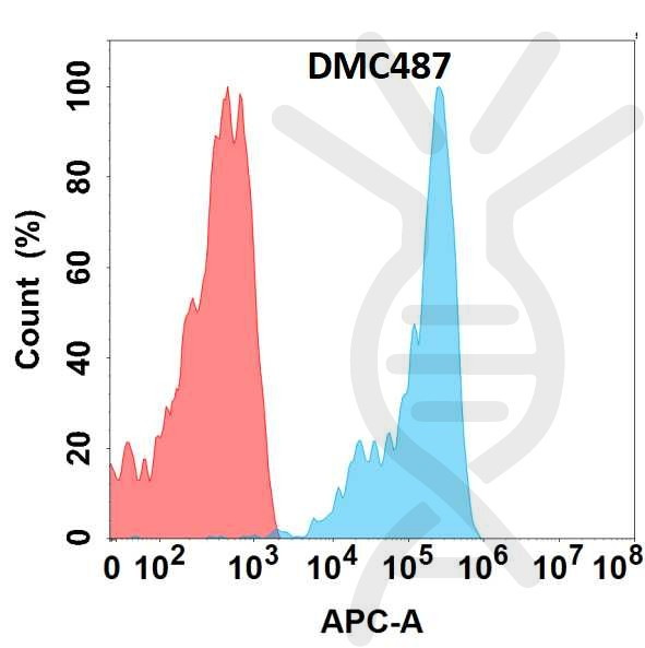 Anti-FZD10 antibody(DMC487), IgG1 Chimeric mAb