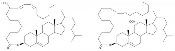 Cholesteryl Linoleate Hydroperoxides