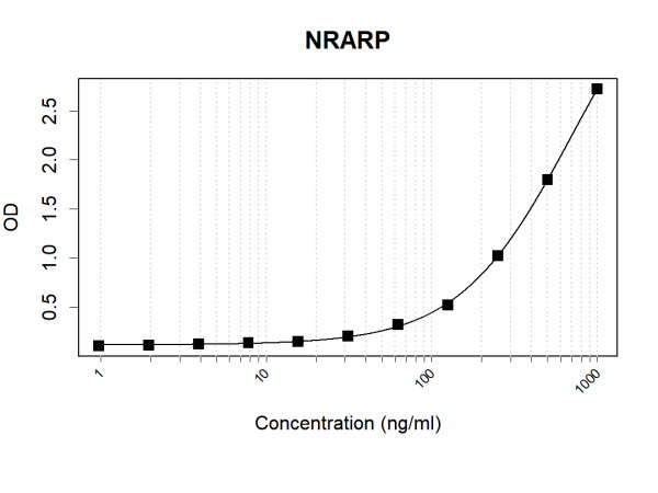 Anti-Human NRARP Antibody Pair