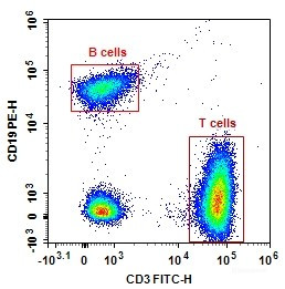 Anti-Human CD3-FITC/CD19-PE [OKT-3,CB19]