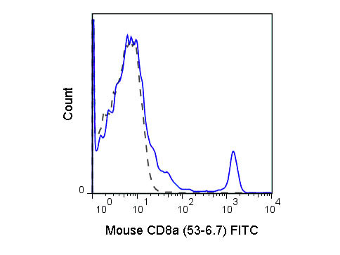 Anti-CD8a Fluorescein Conjugated, clone 53-6.7