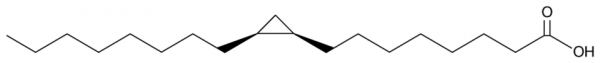 cis-9,10-Methyleneoctadecanoic Acid