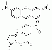 5-TAMRA, SE (5-Carboxytetramethylrhodamine, succinimidyl ester) *Validated for labeling peptides*
