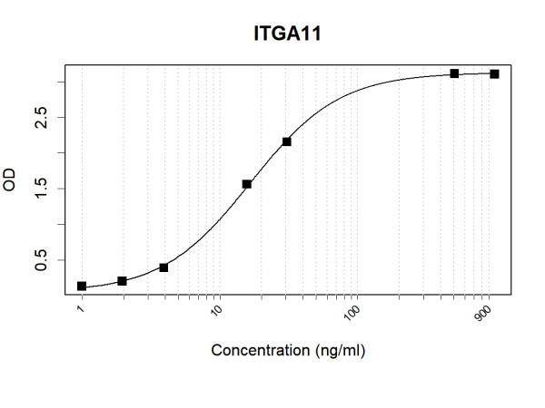 Anti-Human ITGA11 Antibody Pair