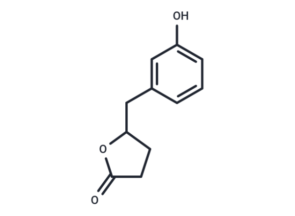 5-(3'-Hydroxyphenyl)-gamma-Valerolactone