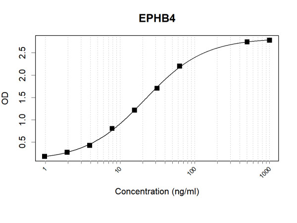 Anti-Human EPHB4 Antibody Pair