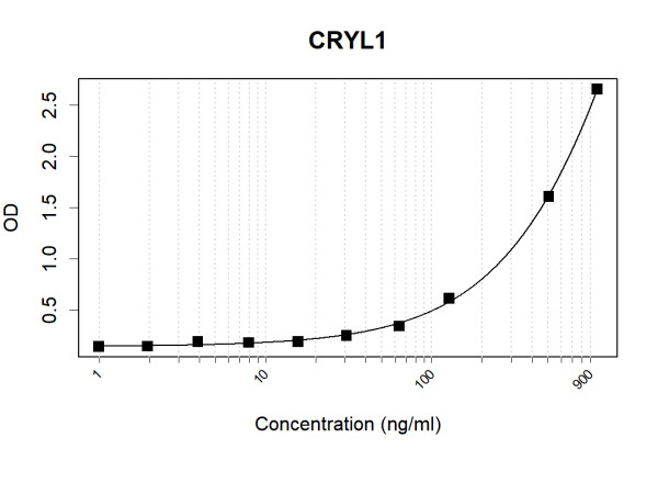 Anti-CRYL1 (Biotin)