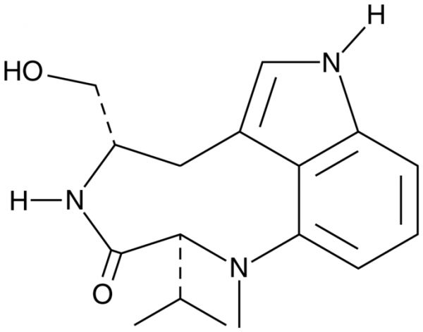 (-)-Indolactam V