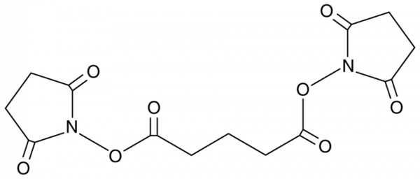 Disuccinimidyl Glutarate