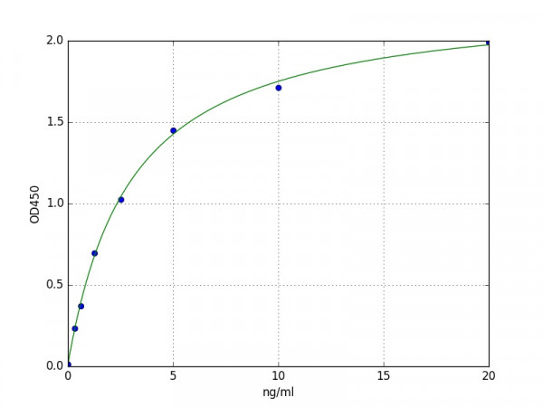 Human TPH2 ELISA Kit